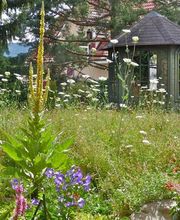 Gartenumänderung Region Basel