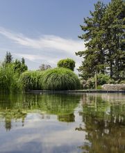 Novotel Lausanne Bussigny Bild 2