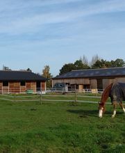 Haras De l'Epine Noire image 9