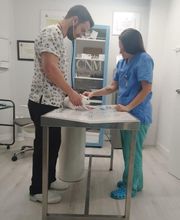 Dyrvet Veterinaria imagen 2