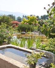 Betagten- und Pflegeheim Niesenblick AG