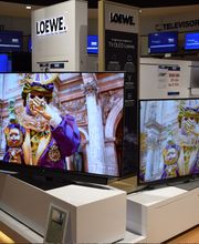 Trony Albino immagine 1