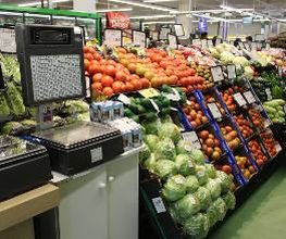 CASH FRESH imagen 10