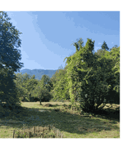 Raphaëlle Eva Michelin image 11