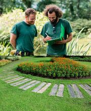 Agence Yellow image 4