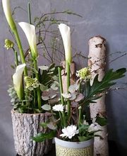 Au Flamboyant Bild 5