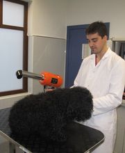 centro veterinario azuqueca imagen 2