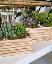 Gallery Cliente