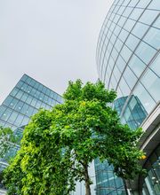 Crowndirect Marketing Bild 1