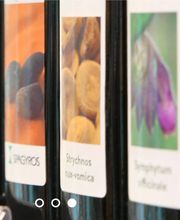 Rosen Apotheke Bild 4