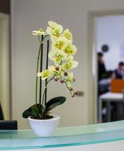 Gallery Professionale