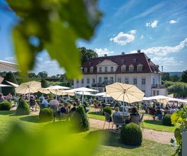 Schloss Wackerbarth Bild 3