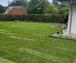 Haus-&Gartenservice Rose Bild 27