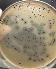 Aquanalyse Laboratoire image 4