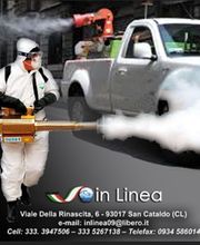 Gallery Professionale