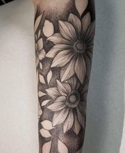 Lanterne Noire image 17