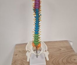 L écho des sens image 3