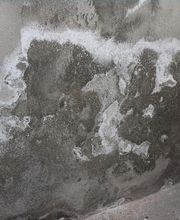 Mur Humide image 12