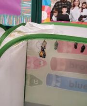 Debary Sonshine Academy image 19