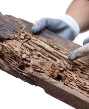 F3P - France Protection Plus Pour Patrimoine Angoulême image 1