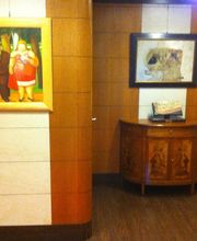 Gallery Cliente