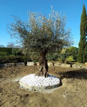Dolmen Jardin image 17