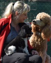 Hundeschule Simone Blasek Bild 1