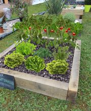 POINT JARDIN image 17