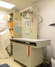 Germantown Hills Animal Hospital image 18