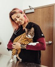 Founders Green Animal Hospital image 4