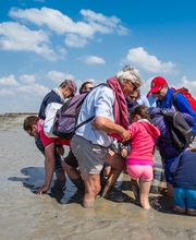 Chemins de la Baie du Mont Saint-Michel image 1