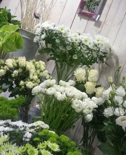 NATURE ET DECO image 2