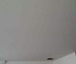 Jch image 2