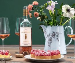 Groinen Wine GmbH Bild 12
