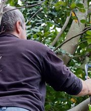 Carbonneaux Paysage image 1