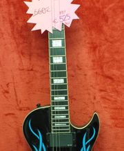 GOSSE Gérard image 8