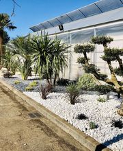 Pépinières Bourquin image 2