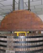 Champagne René Dosne image 2