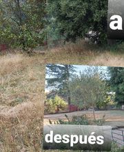 228788493-1-iLKGe2sXsm1626008438890.jpeg