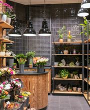 Dekoration und Blumen
Um Ihr Haus oder Ihren Garten je nach Jahreszeit oder Anlass zu verschönern und somit für eine passende Atmosphäre zu sorgen, erhalten Sie bei uns saisonale Blumen sowie Dekoration.

Egal zu welchem Anlass – ob Halloween, Weihnachten oder Ostern, bei uns finden Sie alles für ein rundum gelungenes Fest.