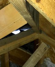 Peachtree Pest Control image 16
