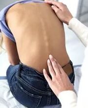 SARL Fortineau image 2