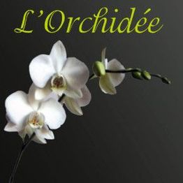 L'Orchidée
