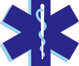 Ambulance Roussel image 2