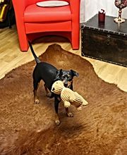 Fesa Logistik GmbH Bild 5