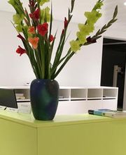 Die Insel GmbH Physiotherapie - Ergotherapie