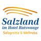 Salzland Logo