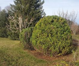 Jardin A2 et Marbrerie Theurillat Bild 14