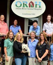 Onion River Animal Hospital image 3
