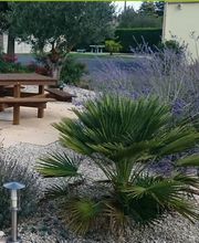 Guilbaud Anthony image 1